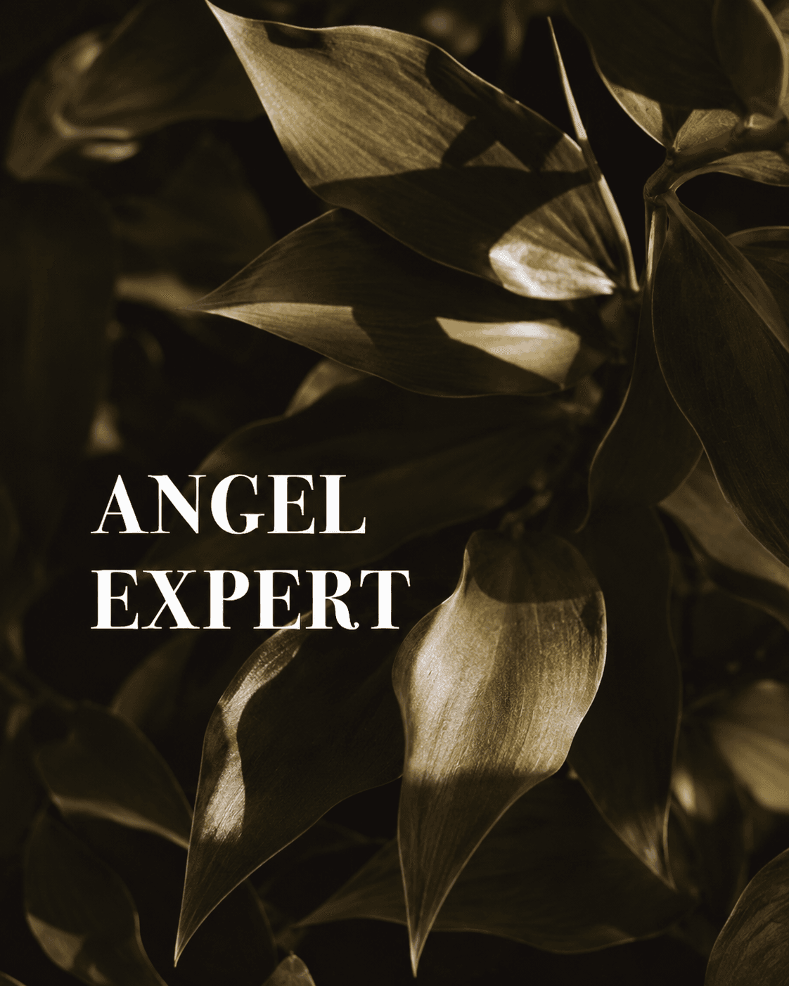 Expert