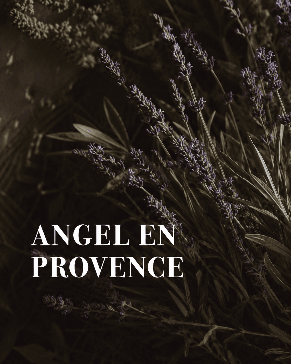 Angel En Provence