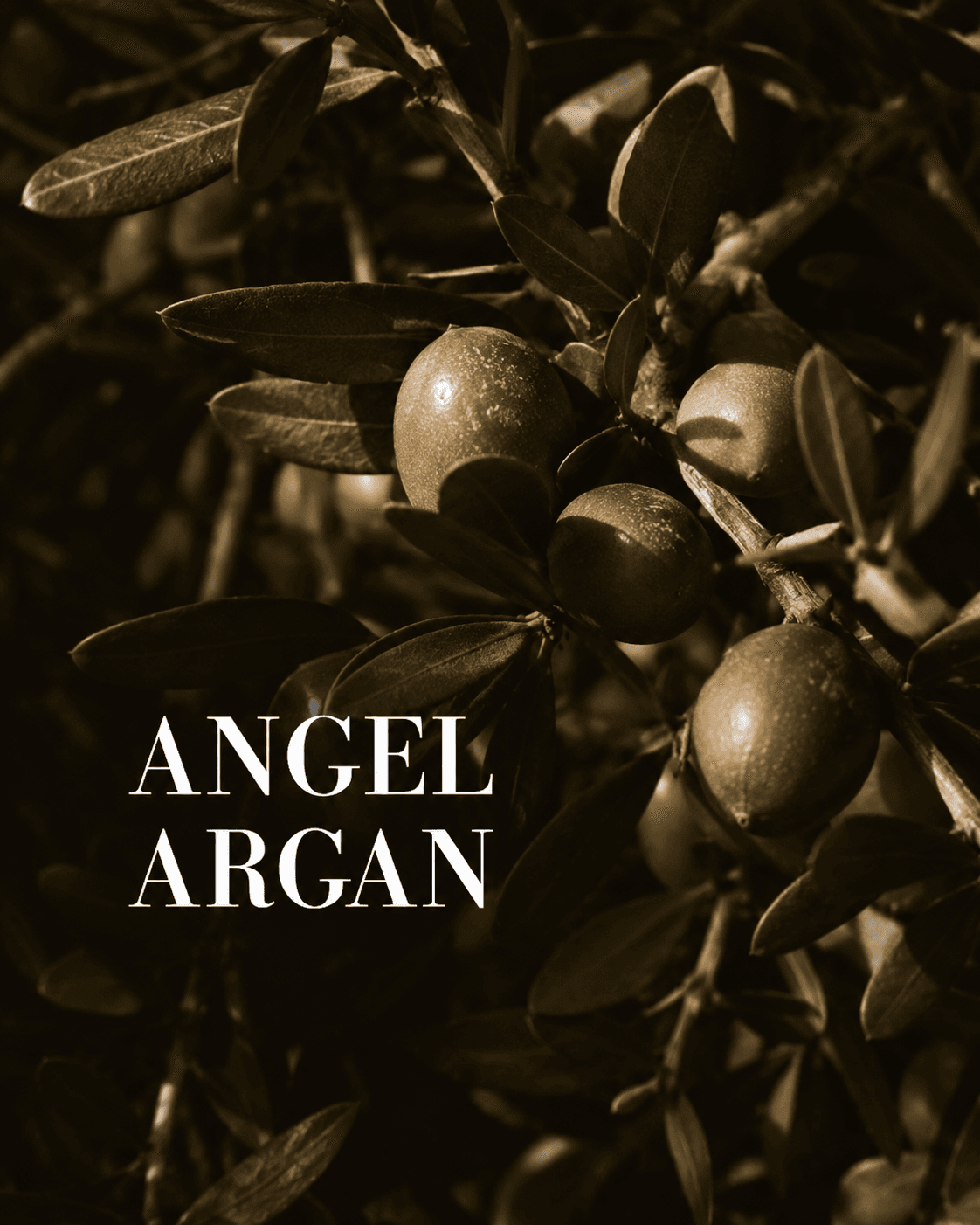 ARGAN