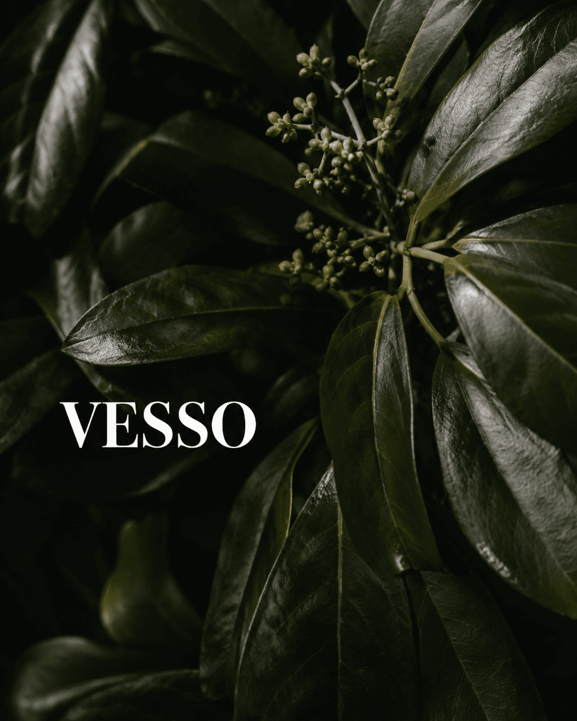 Vesso